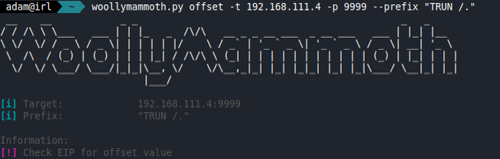 Using a unique string pattern to identify the buffer offset in the VulnServer program