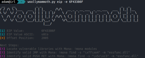 Identifying the buffer offset in the VulnServer program