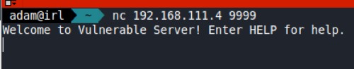 Using Netcat to connect to the VulnServer program
