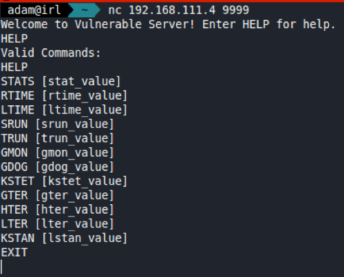 Using Netcat to interact with the VulnServer program