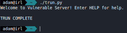 Sending a buffer of 100 bytes to the VulnServer program
