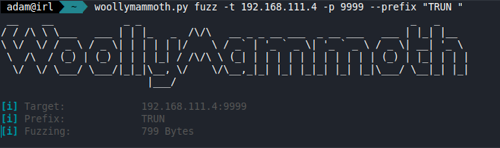Using a fuzzer to identify the buffer overflow point in the VulnServer program