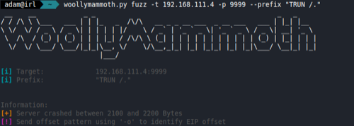 Using a fuzzer to identify the buffer overflow point in the VulnServer program