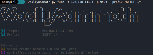 Buffer Overflow Fuzzing