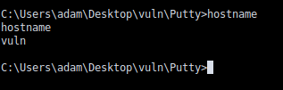 Running the backdoored executable