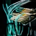 Scoping a network penetration test