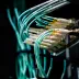Your First Pentest: Scoping a Network Pentest