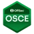 OSCE certified consultant