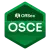 OSCE Certified Consultants