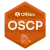 OSCP Certified Consultants