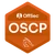 OSCP certified consultant