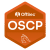 OSCP Certified Consultants