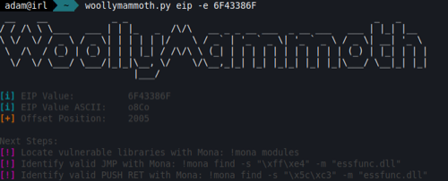 An example image